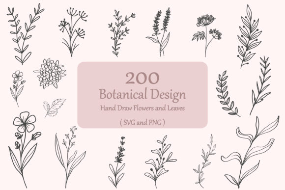 200 Botanical Svg Bundle Floral Leaves Graphics