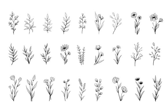 Hand Drawn Floral Doodles: A Graphics and Illustrations Review