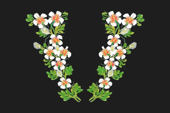 Hand Painted Watercolor Floral Clipart for Graphics and Illustrations