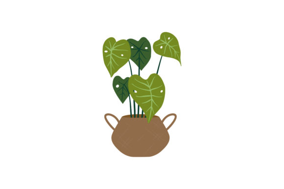 Plant Natural Floral Room Palm: Premium Graphics and Illustrations