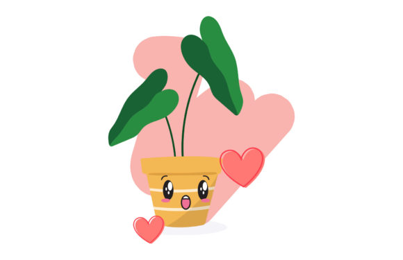 Valentine Plant Love Floral Decoration Review