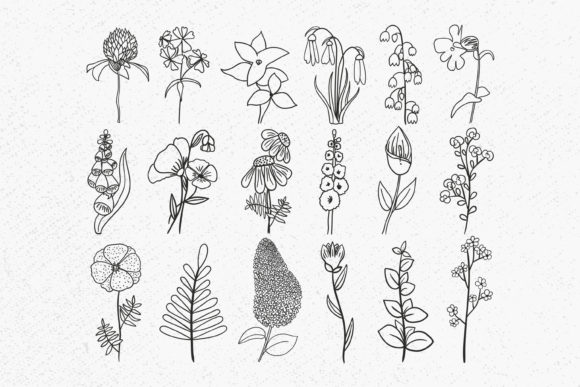 Wild Flower Bundle Svg, Floral Leaves Graphics & Illustrations Review
